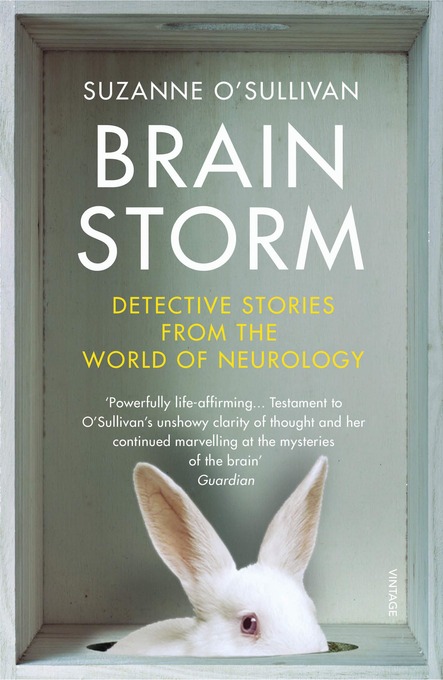 Brainstorm: Detective Stories from the World of Neurology 1st Edition