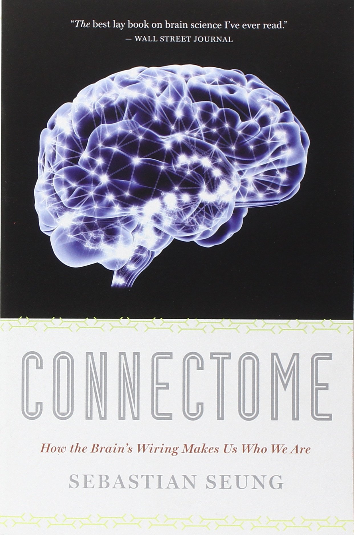 Connectome: How the Brain’s Wiring Makes Us Who We Are