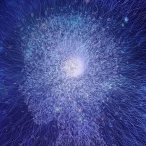 Cultivating the Mind: Reason and the Pursuit of Ethical Transformation