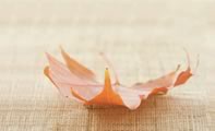 Decoding the Spiritual Messages of Everyday Life