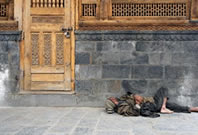 Extreme Poverty in a Prosperous World: The Quest to Achieve Sustainable Humanitarian Efforts