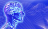 Mind over Matter: Unlocking the Secrets of the Spiritual Brain