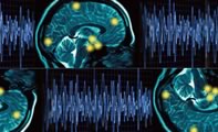Spirituality and the Brain